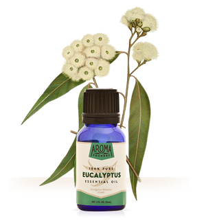 
                
                    Load image into Gallery viewer, Eucalyptus Essential Oil
                
            