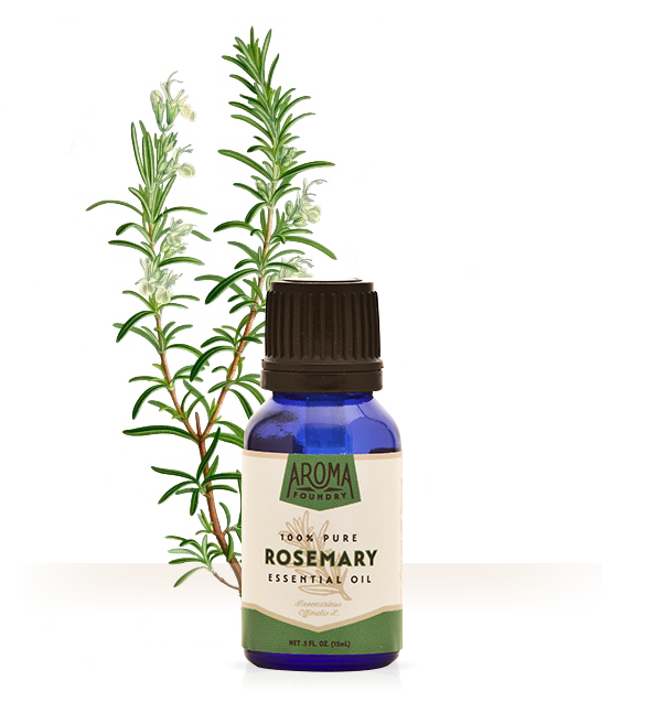 
                
                    Load image into Gallery viewer, Rosemary Essential Oil
                
            
