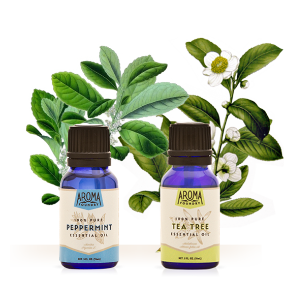 Wardee Peppermint and Tea Tree Oil Bundle